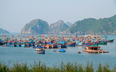 Cat Ba island in Halong Bay, Vietnam